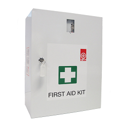 First Aid Kit_Wall Mounted_Wall Unit (677101)