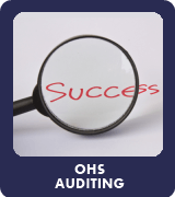 OHS Auditing