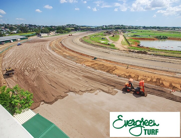 Evergreen Turf