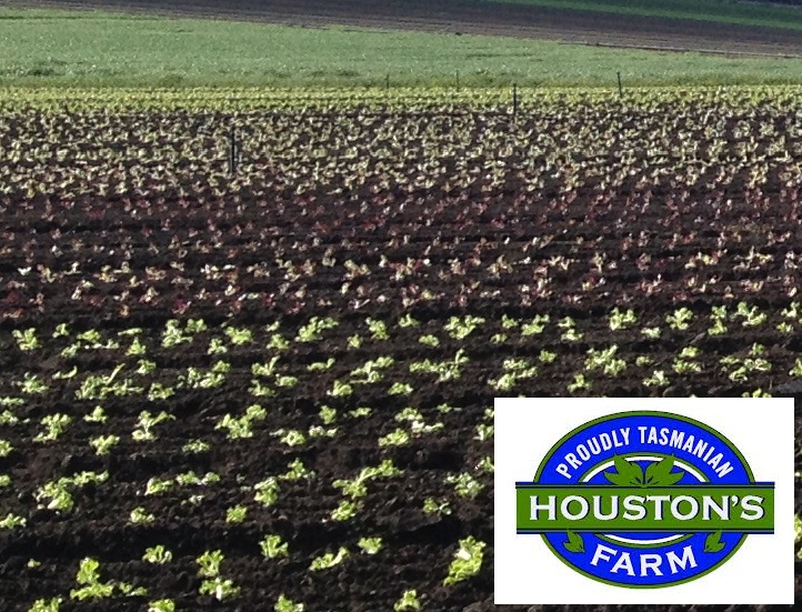 Houstons Farm