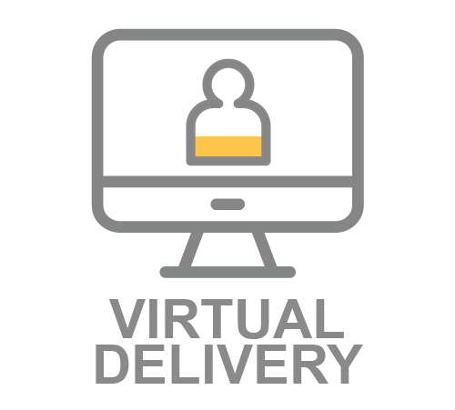 virtual3